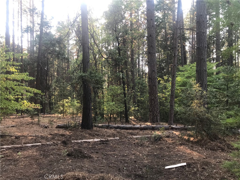 A property available for rent at 1 kaelin, Feather Falls, CA 95966.