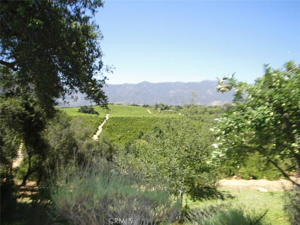 A property available for rent at 1975 Valley Meadow Drive, Oak View, CA 93022.