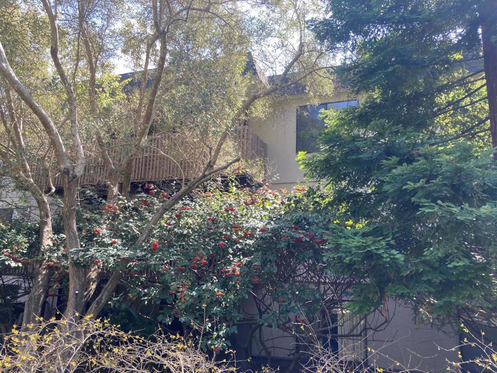 A property available for sale at 6329 Shelter Creek Lane, San Bruno, CA 94066.