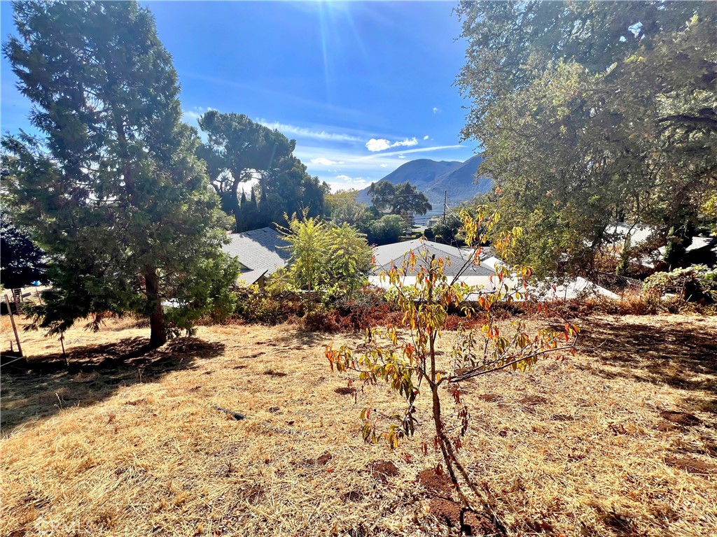 A property available for sale at 9466 E Highway 20, Glenhaven, CA 95443.