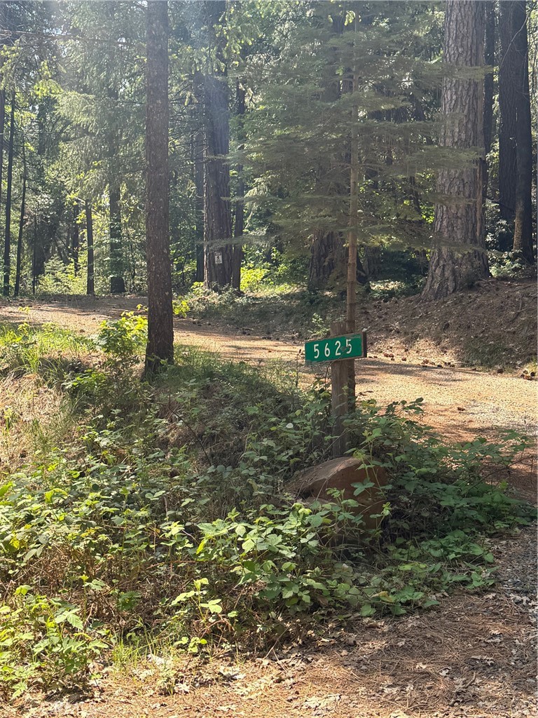 A property available for sale at 5625 Headwaters Road, Forest Ranch, CA 95942.