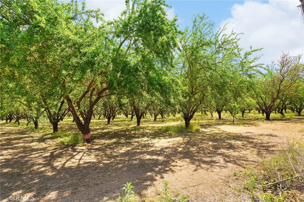A property available for sale at 9246 Stanford Lane, Durham, CA 95938.
