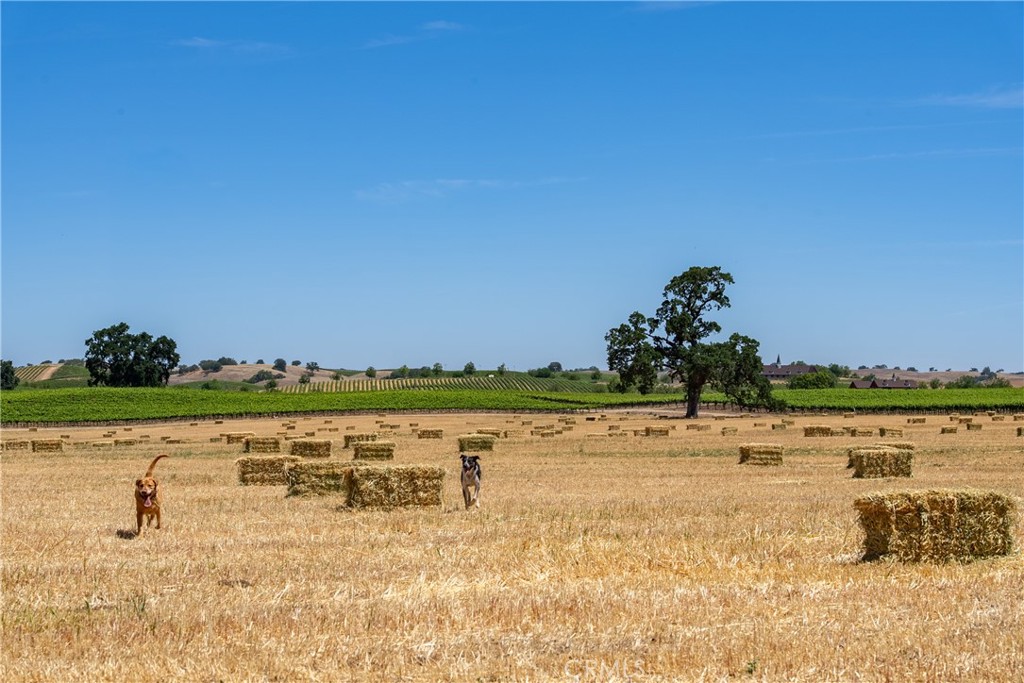 A property available for sale at 5275 Camp 8 Road, Paso Robles, CA 93446.