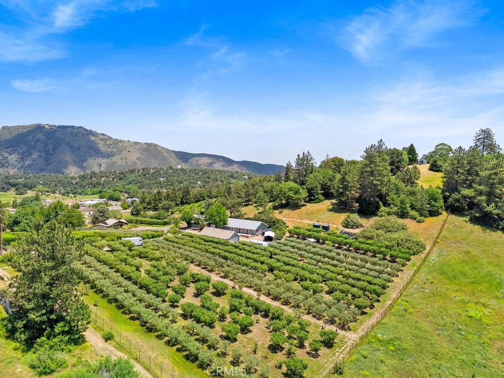 A property available for sale at 2645 Apple Lane, Julian, CA 92036.
