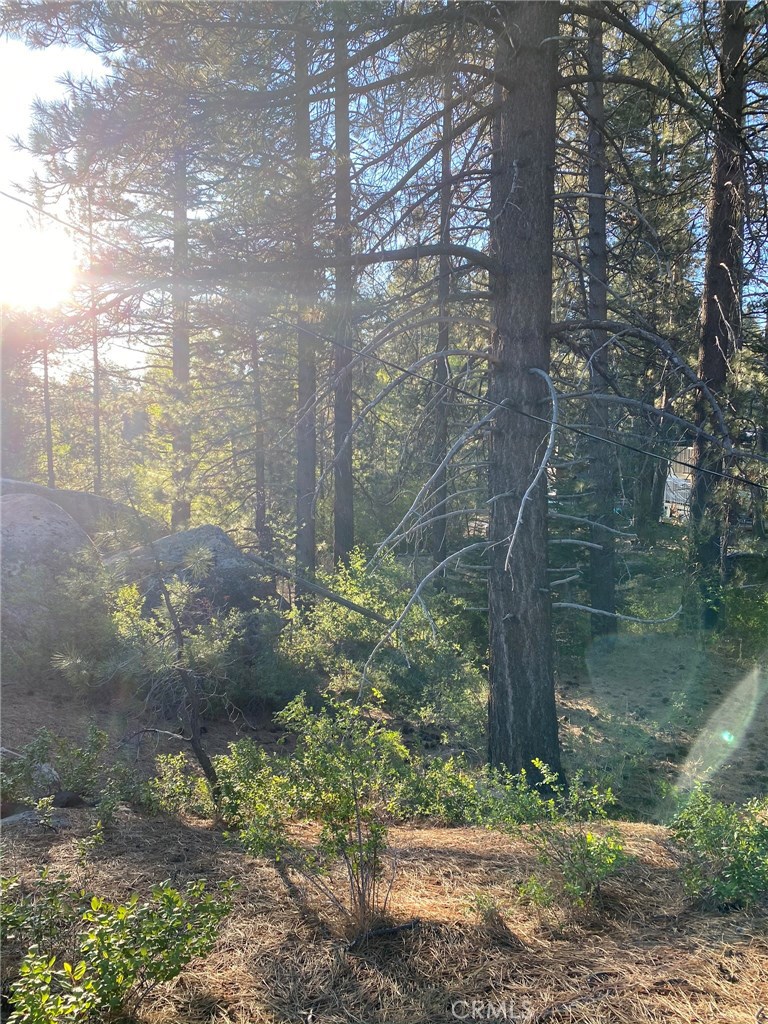 A property available for sale at 0 Cienega Road, Big Bear, CA 92315.